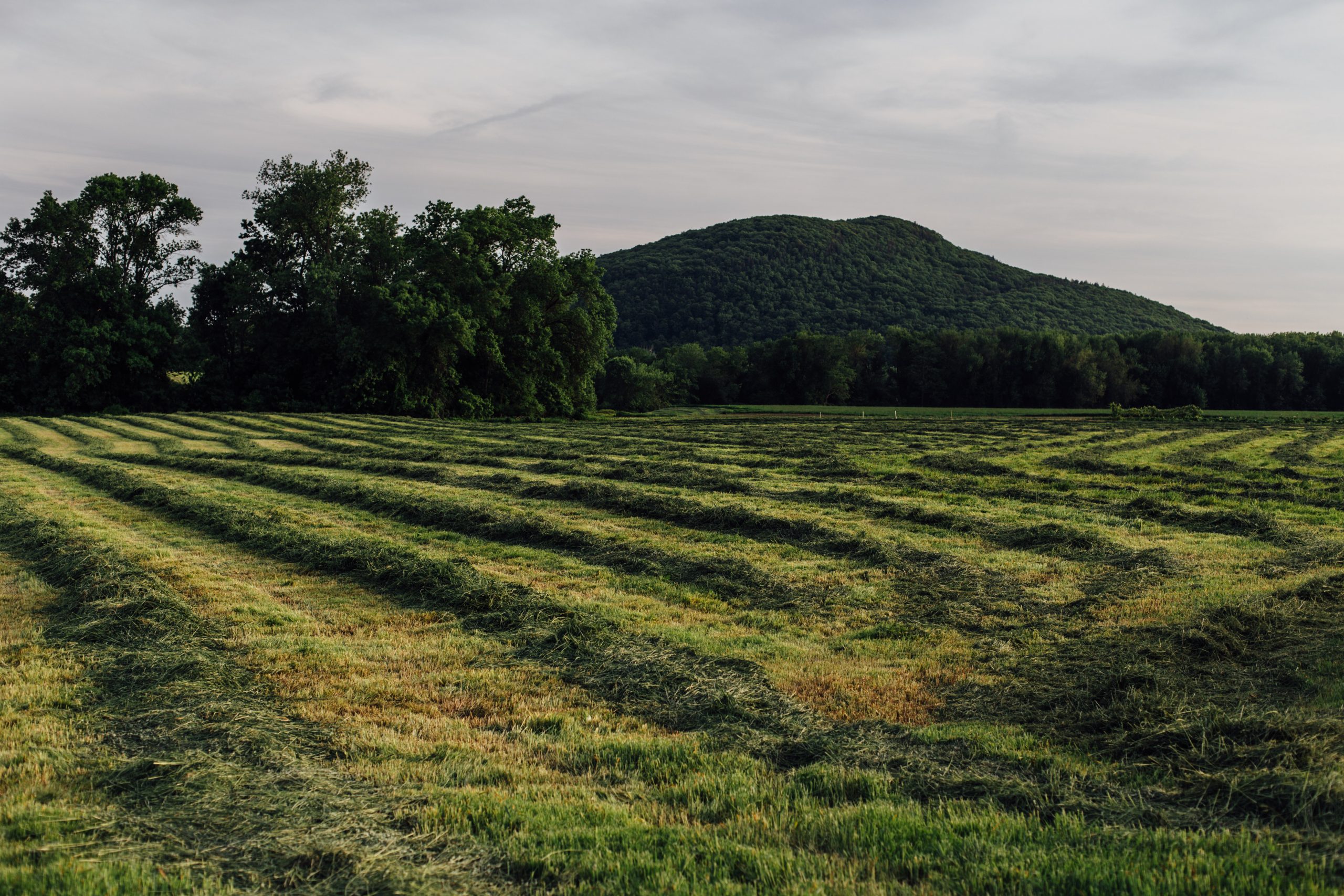 To The Pioneer Valley Don Mailloux